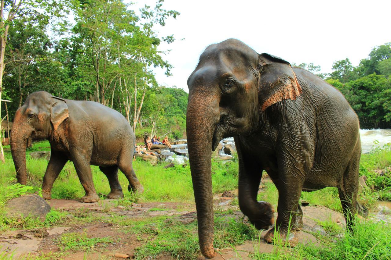 Tadlo Lodge Beng Ngoại thất bức ảnh